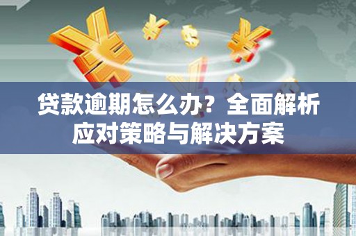宛城贷款逾期怎么办？全面解析应对策略与解决方案