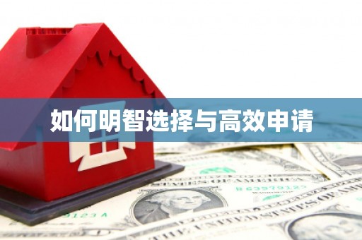 宛城如何明智选择与高效申请
