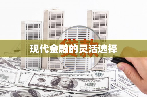 宛城现代金融的灵活选择