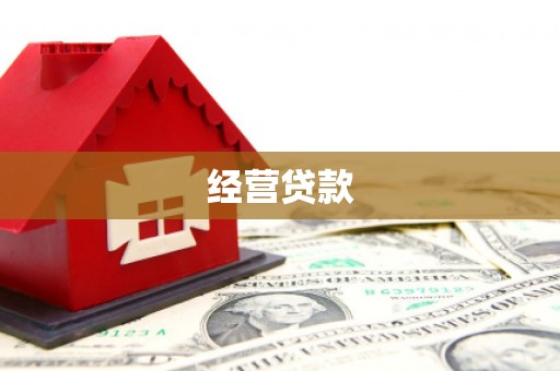 宛城经营贷款