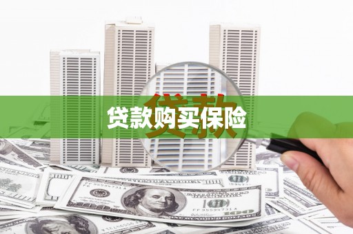 宛城贷款购买保险
