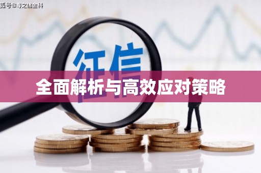 宛城全面解析与高效应对策略