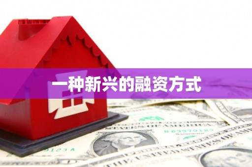宛城一种新兴的融资方式