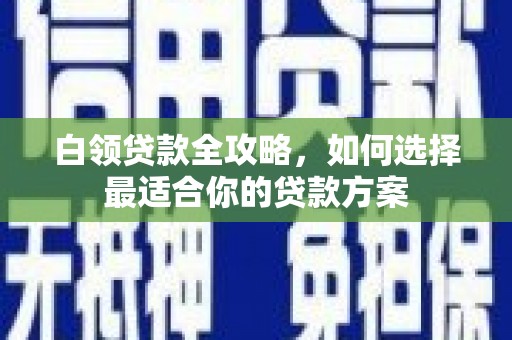 宛城白领贷款全攻略，如何选择最适合你的贷款方案