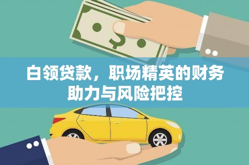 宛城白领贷款，职场精英的财务助力与风险把控