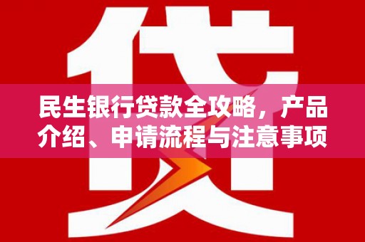 宛城民生银行贷款全攻略，产品介绍、申请流程与注意事项